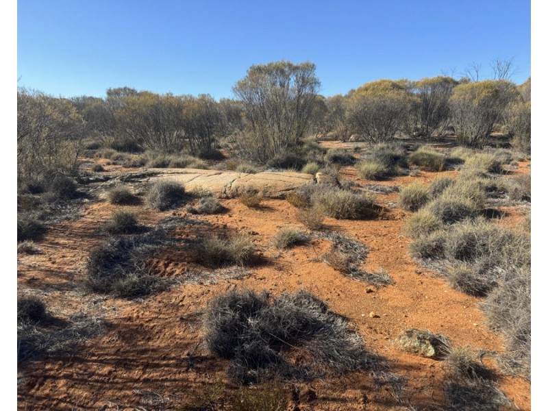 Section 24 Woolford Road, Minbrie SA 5602