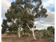 Section 1 & Section 15 Glynn Road, Minbrie SA 5602