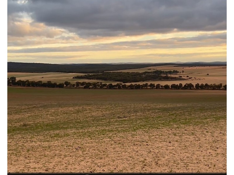 Section 1 & Section 15 Glynn Road, Minbrie SA 5602