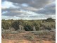 Section 1 & Section 15 Glynn Road, Minbrie SA 5602