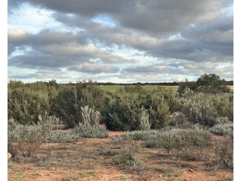 Section 1 & Section 15 Glynn Road, Minbrie SA 5602
