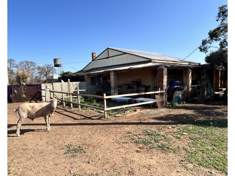 Section 114 264 Philips Road, Minbrie SA 5602