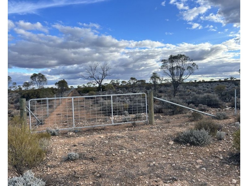Section 32 Slaughterhouse Road, Morgan SA 5320