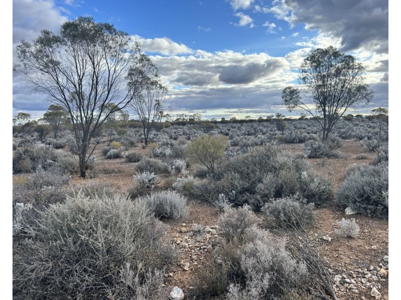 Section 32 Slaughterhouse Road, Morgan SA 5320