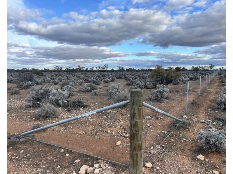 Section 32 Slaughterhouse Road, Morgan SA 5320