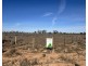 Section 64 Cemetery Road, Morgan SA 5320