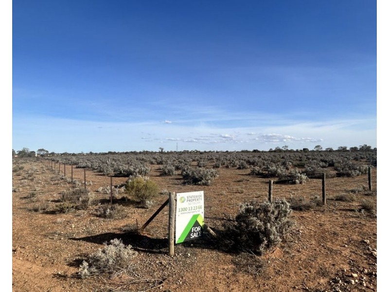 Section 65 Goyder Highway, Morgan SA 5320