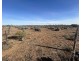 Section 65 Goyder Highway, Morgan SA 5320