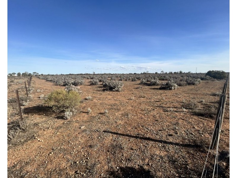 Section 65 Goyder Highway, Morgan SA 5320