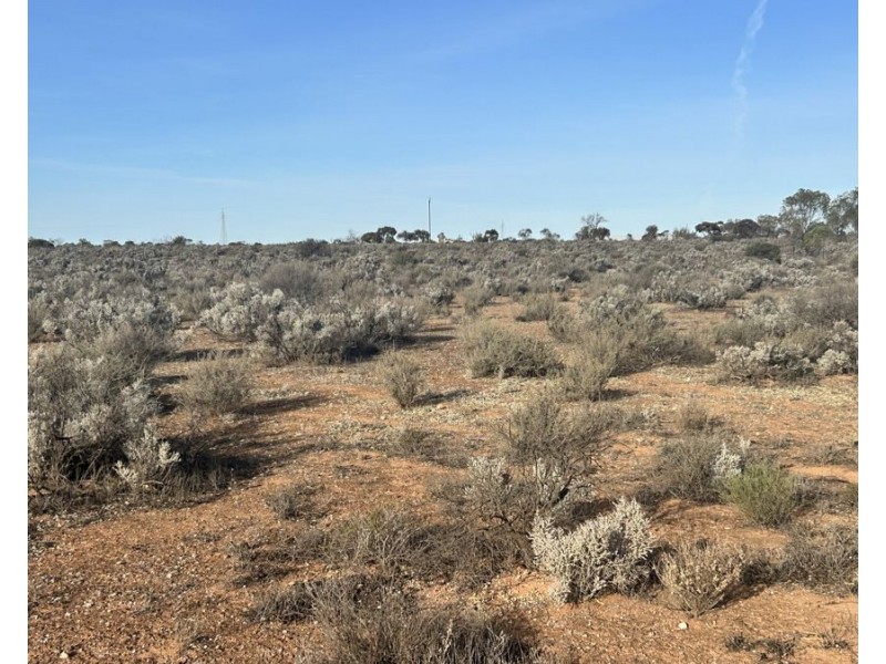 Section 66 Cemetery Road, Morgan SA 5320