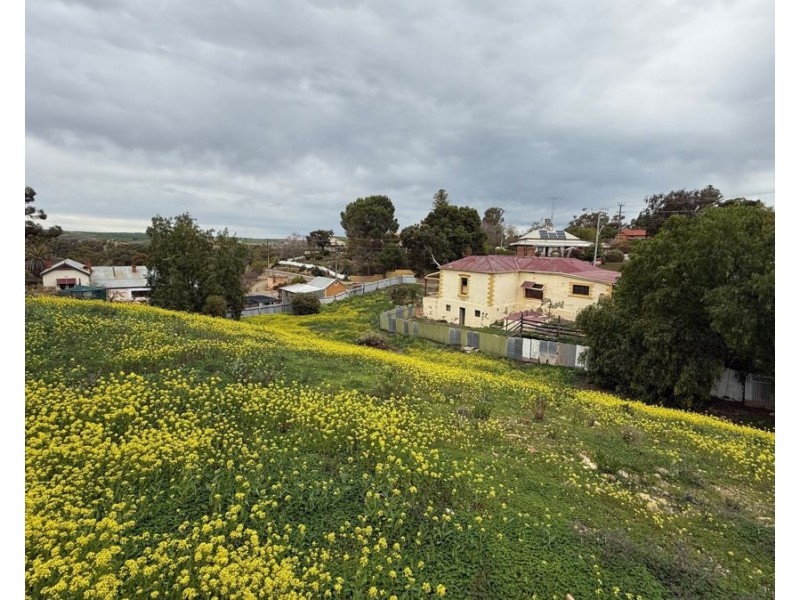 2 Anna Street, Mannum SA 5238