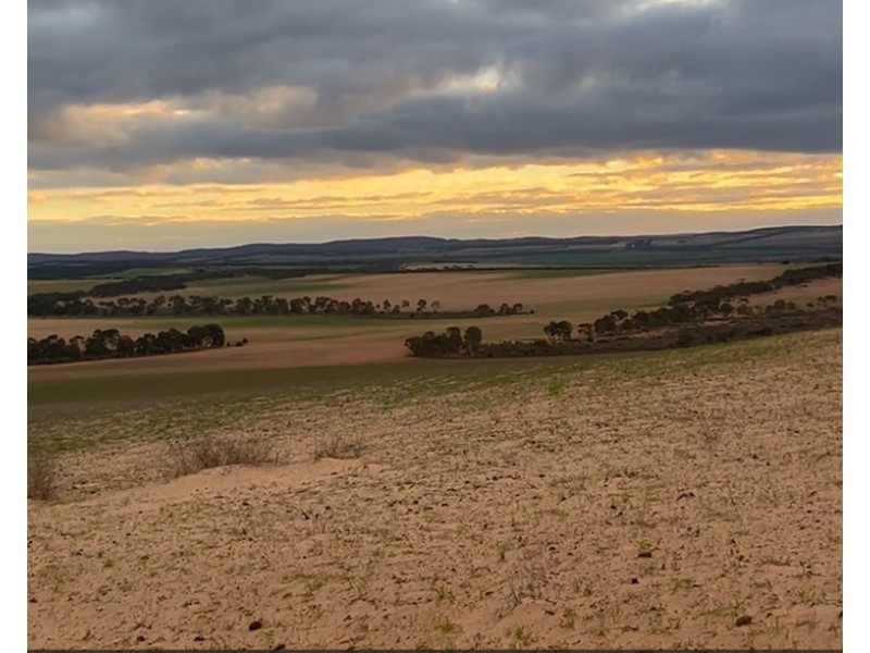 Section 15 Glynn Road, Minbrie SA 5602