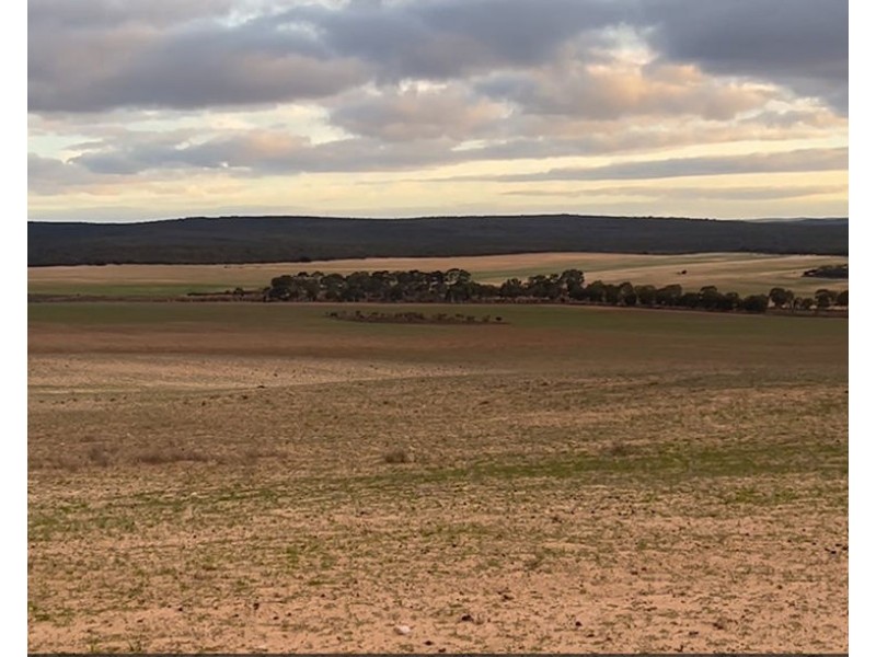 Section 15 Glynn Road, Minbrie SA 5602