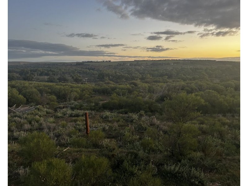 Lot A Teal Flat Road, Walker Flat SA 5238