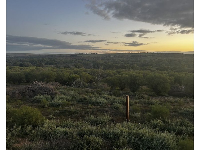 Lot A Teal Flat Road, Walker Flat SA 5238