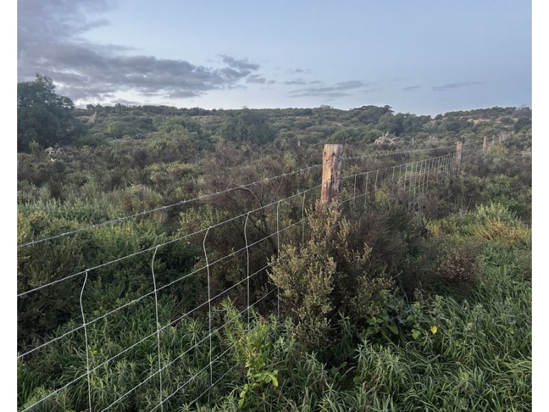 Lot A Teal Flat Road, Walker Flat SA 5238
