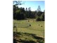 23 Robinsons Road, Cobaki NSW 2486