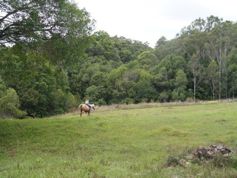 23 Robinsons Road, Cobaki NSW 2486