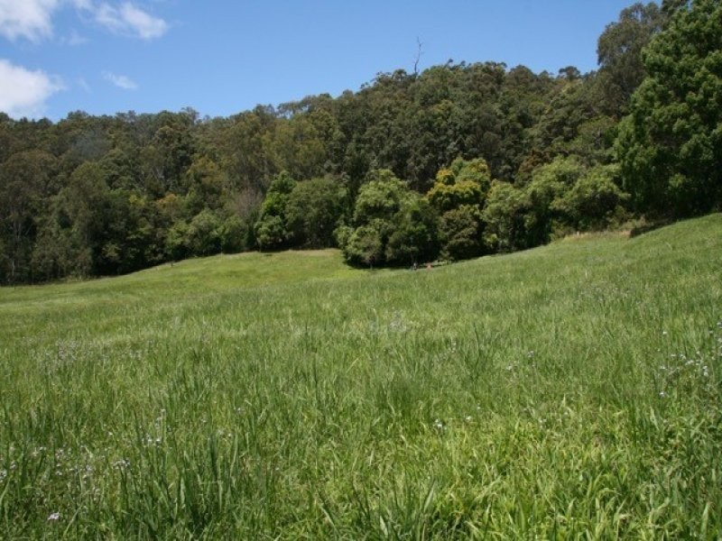 23 Robinsons Road, Cobaki NSW 2486