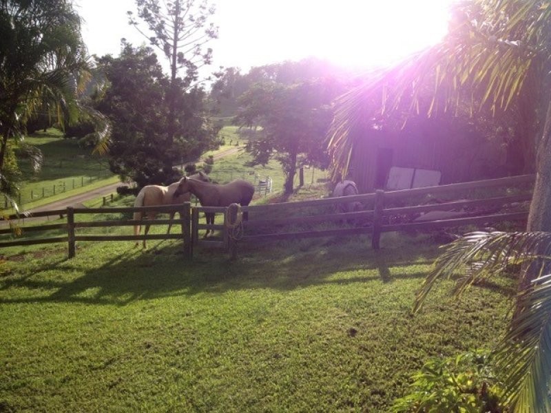23 Robinsons Road, Cobaki NSW 2486