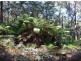 Lot2 DP560448 Kains Cross Road, Krawarree NSW 2622