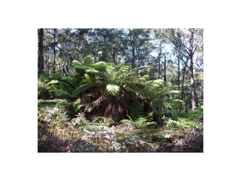 Lot2 DP560448 Kains Cross Road, Krawarree NSW 2622