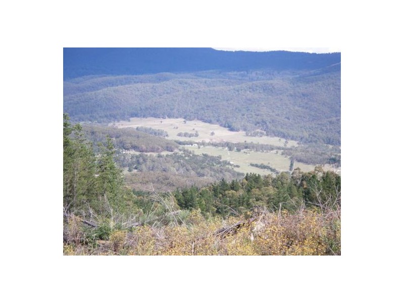 Lot2 DP560448 Kains Cross Road, Krawarree NSW 2622