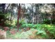 Lot2 DP560448 Kains Cross Road, Krawarree NSW 2622