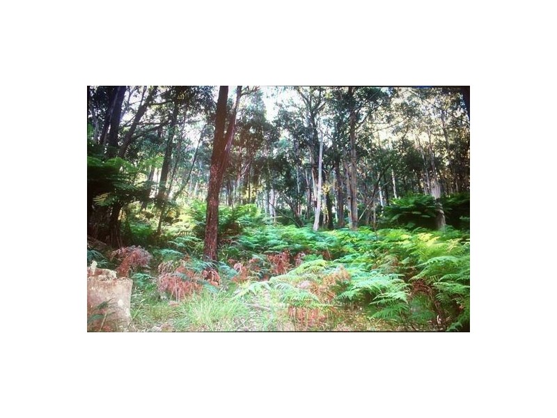 Lot2 DP560448 Kains Cross Road, Krawarree NSW 2622