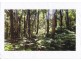 Lot2 DP560448 Kains Cross Road, Krawarree NSW 2622