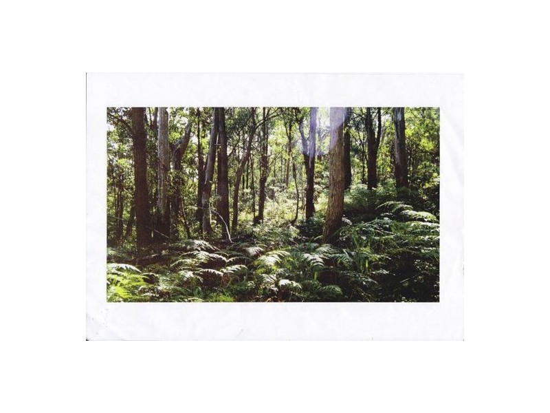 Lot2 DP560448 Kains Cross Road, Krawarree NSW 2622