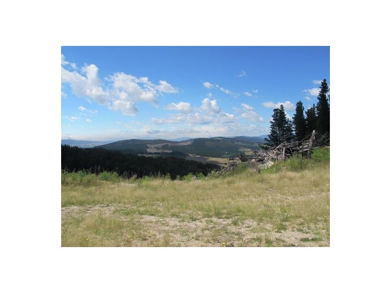Lot2 DP560448 Kains Cross Road, Krawarree NSW 2622