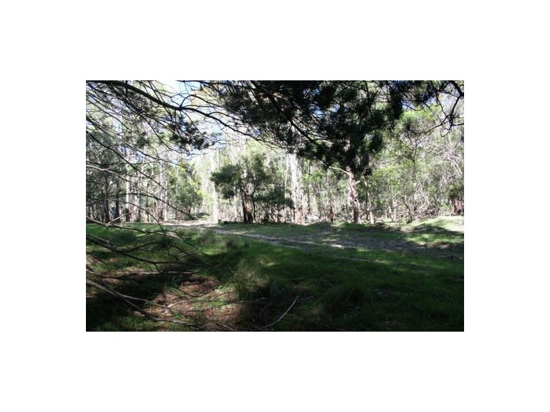 Lot2 DP560448 Kains Cross Road, Krawarree NSW 2622