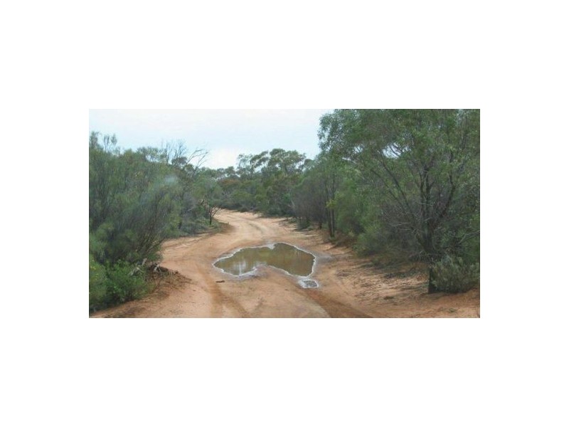 Lot2 DP560448 Kains Cross Road, Krawarree NSW 2622