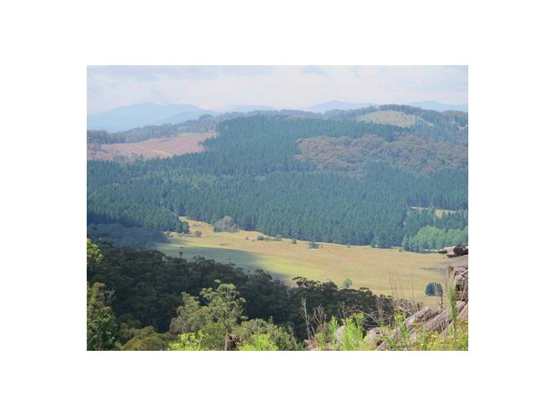 Lot2 DP560448 Kains Cross Road, Krawarree NSW 2622