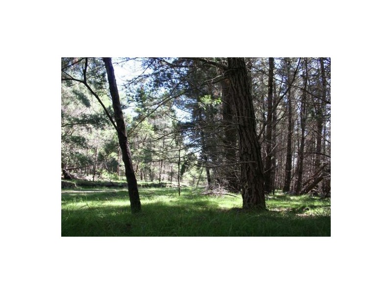 Lot2 DP560448 Kains Cross Road, Krawarree NSW 2622