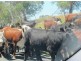 Lot2 DP560448 Kains Cross Road, Krawarree NSW 2622