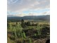 Lot2 DP560448 Kains Cross Road, Krawarree NSW 2622