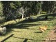 11 Moomba Cresent, Piggabeen NSW 2486