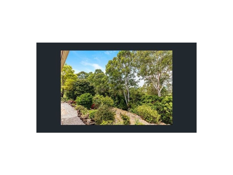 19 Fir, Bilambil Heights NSW 2486