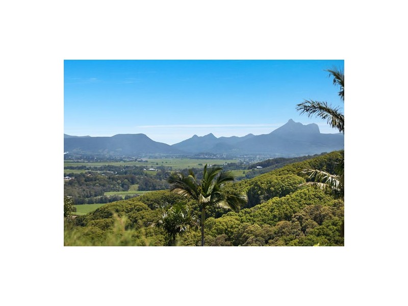 4 Figtree Rd, Terranora NSW 2486