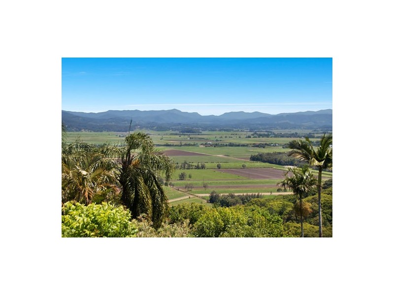 4 Figtree Rd, Terranora NSW 2486