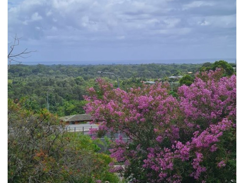 40 Pioneer Parade, Banora Point NSW 2486
