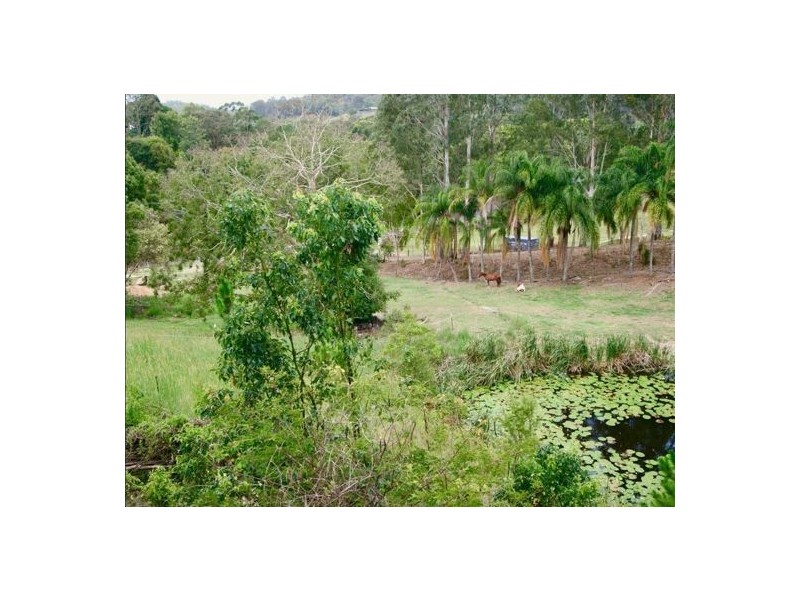 45 Green Valley Way, Piggabeen NSW 2486