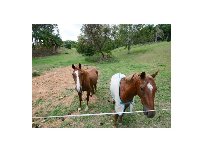 45 Green Valley Way, Piggabeen NSW 2486