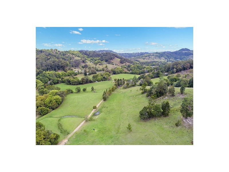 542 Piggabeen Road, Piggabeen NSW 2486