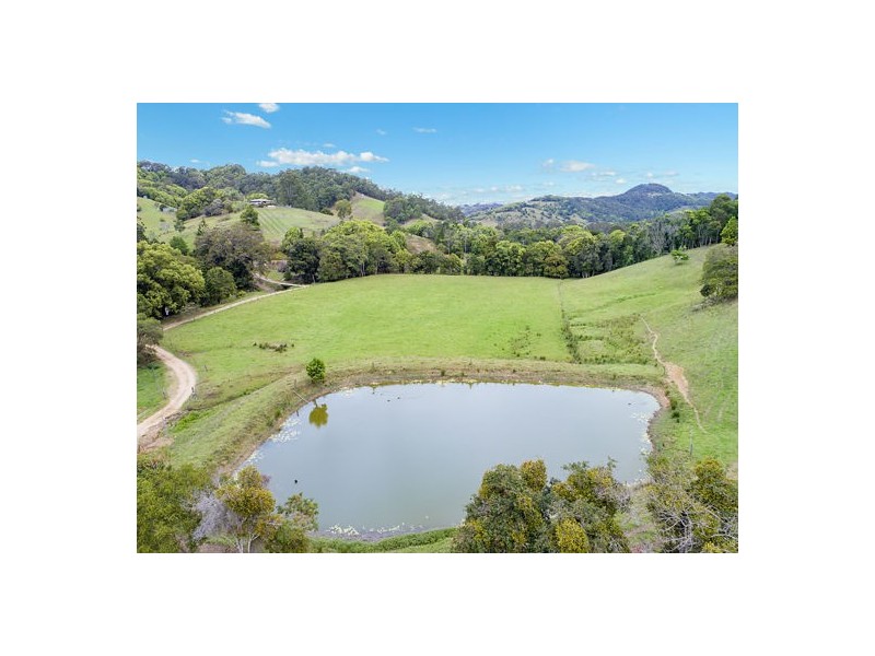 542 Piggabeen Road, Piggabeen NSW 2486