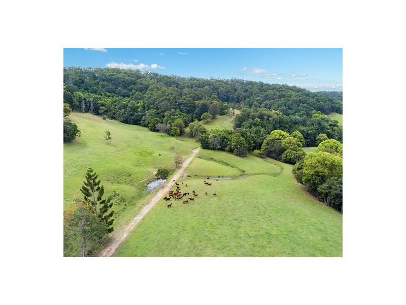 542 Piggabeen Road, Piggabeen NSW 2486