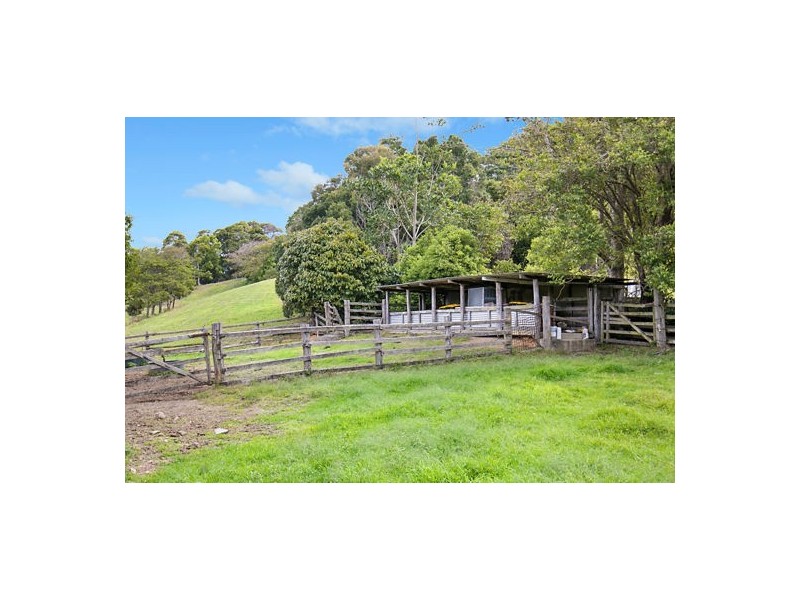542 Piggabeen Road, Piggabeen NSW 2486