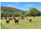 542 Piggabeen Road, Piggabeen NSW 2486